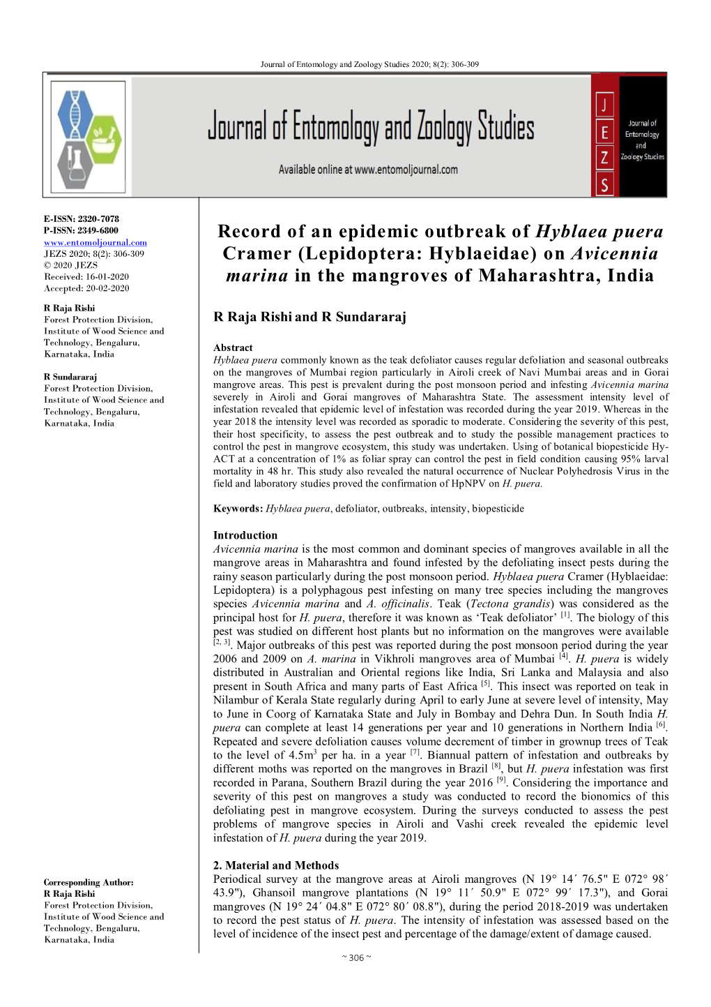 Record of an Epidemic Outbreak of Hyblaea Puera Cramer