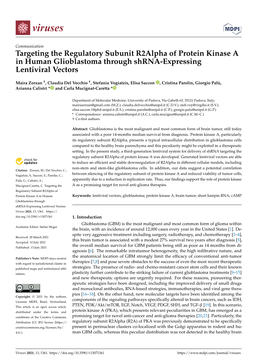 Targeting the Regulatory Subunit R2alpha of Protein Kinase a in Human Glioblastoma Through Shrna-Expressing Lentiviral Vectors