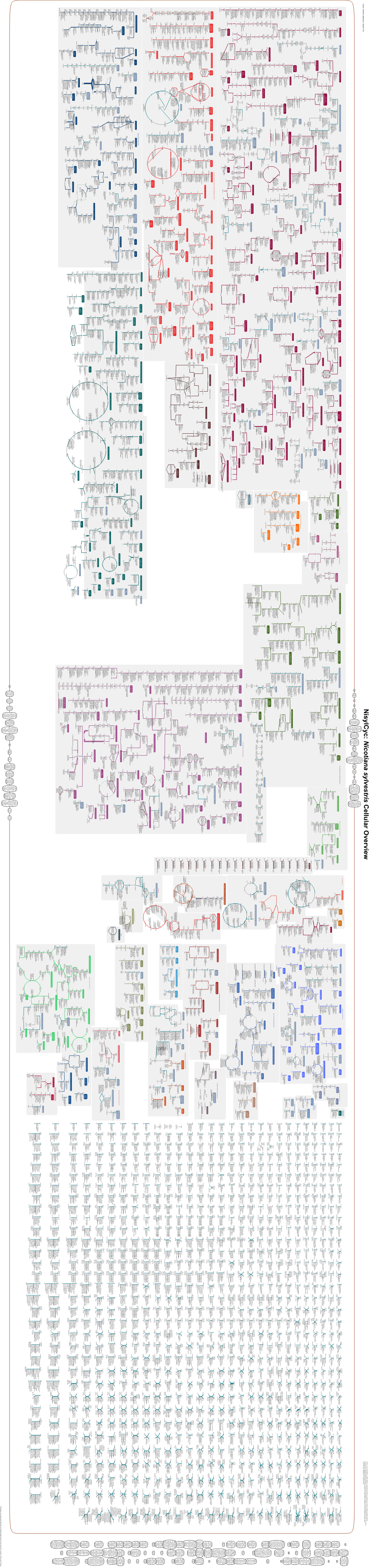 Generate Metabolic Map Poster