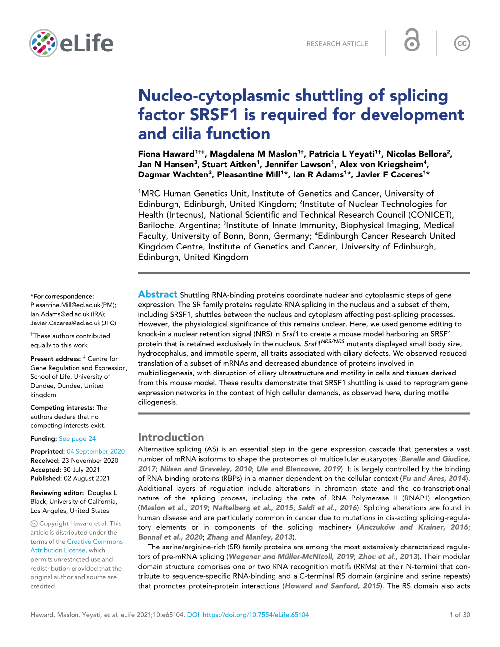Nucleo-Cytoplasmic Shuttling of Splicing Factor SRSF1 Is Required For
