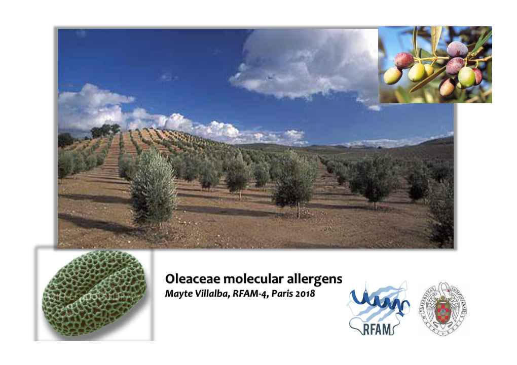 Oleaceae Molecular Allergens Mayte Villalba, RFAM-4, Paris 2018 Which Factors Affect a Patient with Pollinosis?