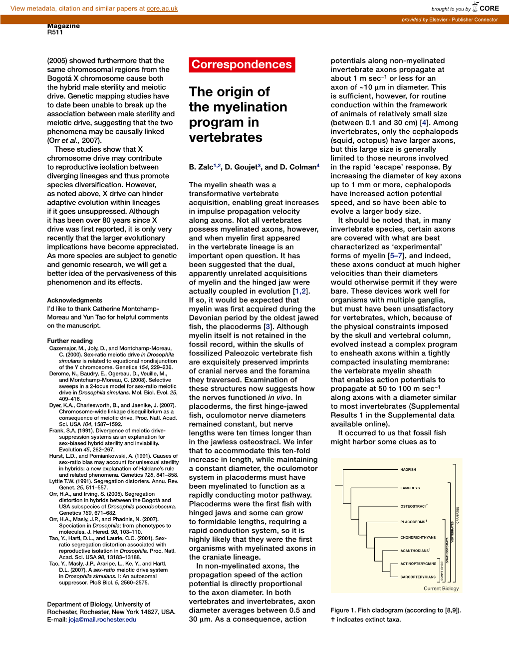 The Origin of the Myelination Program in Vertebrates