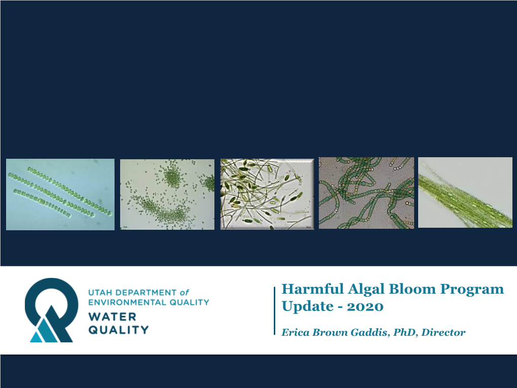 Harmful Algal Bloom Program Update - 2020