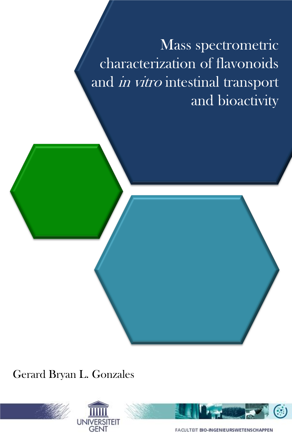 Mass Spectrometric Characterization of Flavonoids and in Vitro Intestinal Transport and Bioactivity