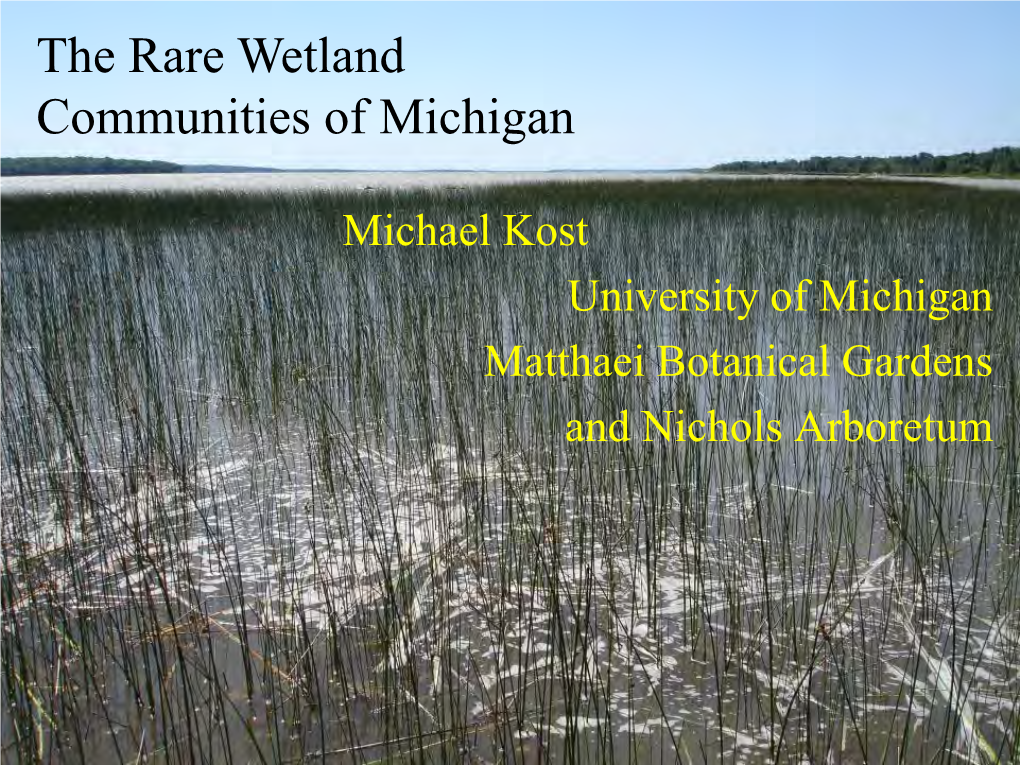 The Rare Wetland Communities of Michigan