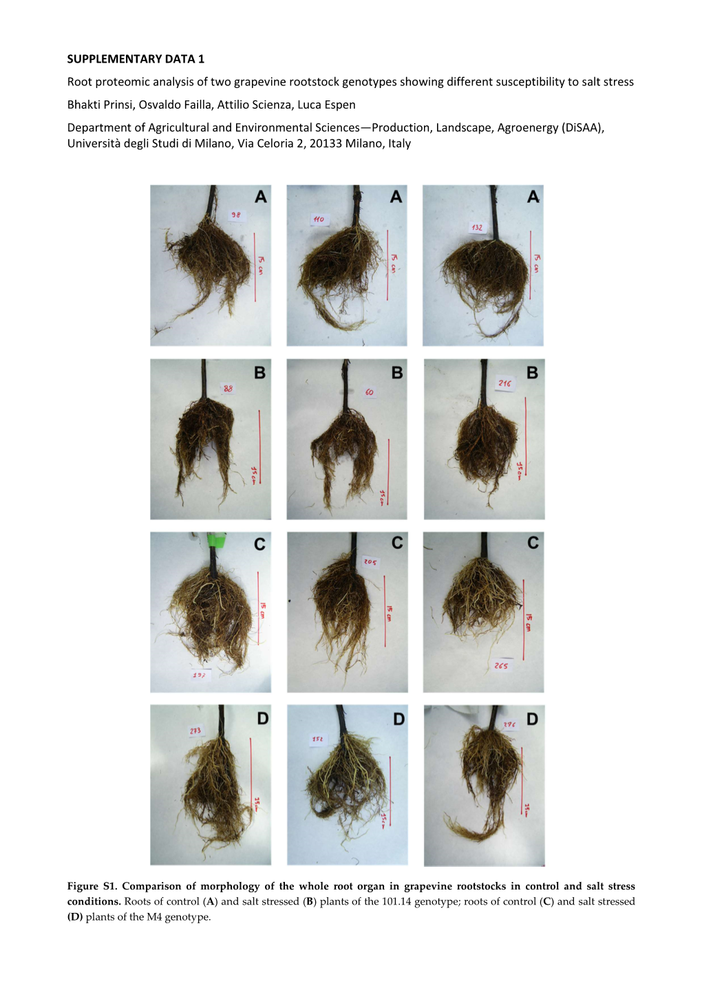 SUPPLEMENTARY DATA 1 Root Proteomic Analysis of Two Grapevine Rootstock Genotypes Showing Different Susceptibility to Salt Stres