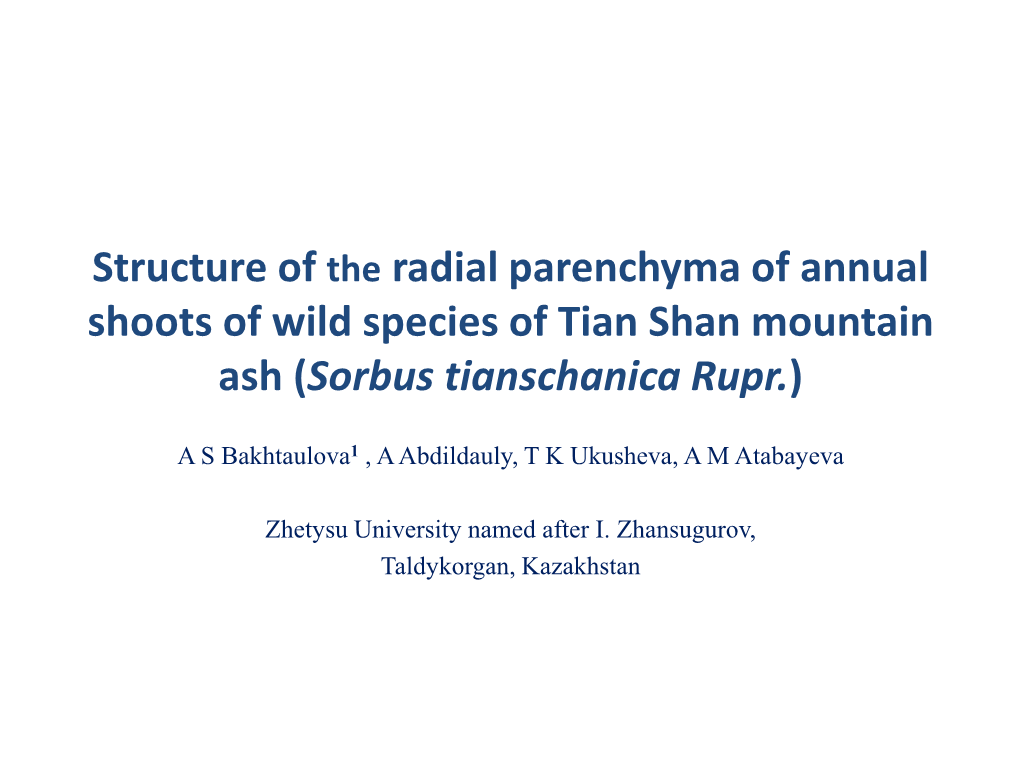 Structure of the Radial Parenchyma of Annual Shoots of Wild Species of Tian Shan Rowanberry (Sorbus Tianschanica Rupr.)