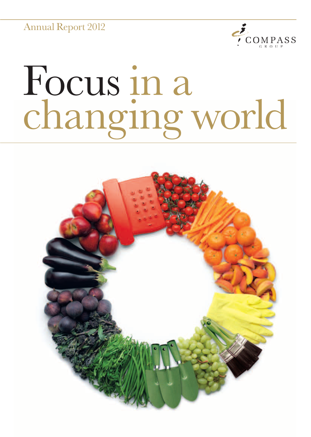 Annual Report 2012 Report Annual Focus Changingworld