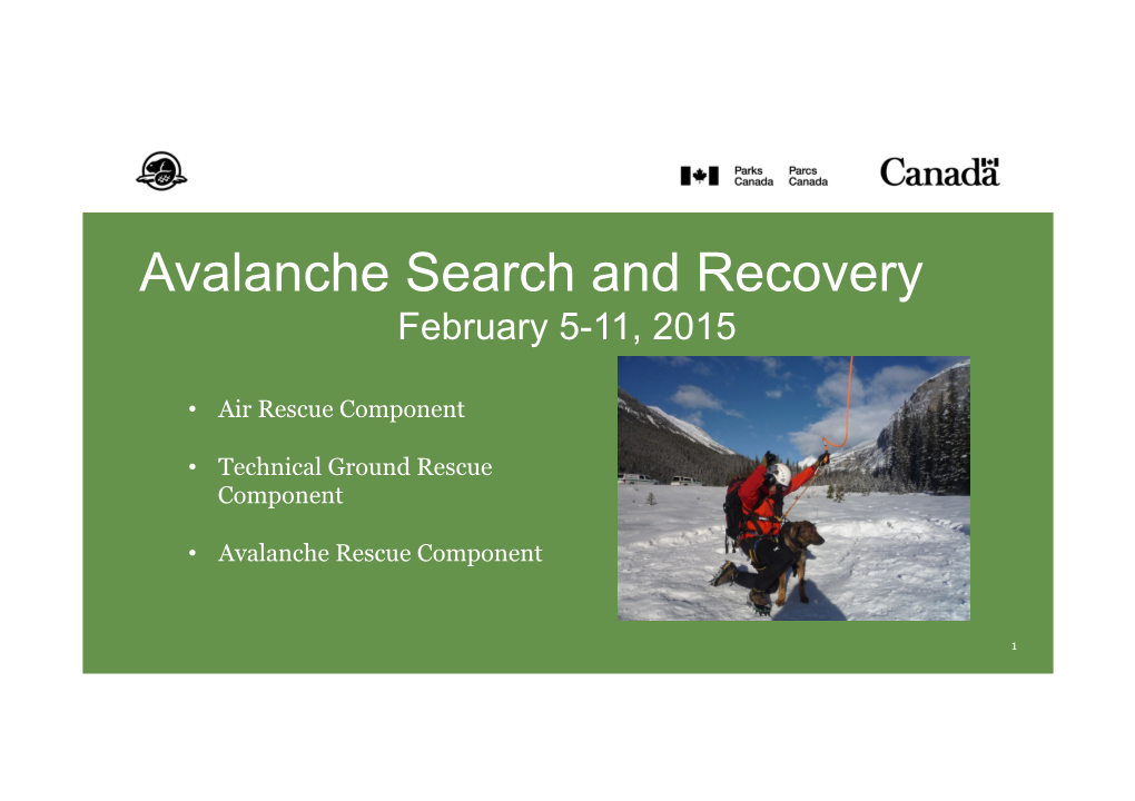 Avalanche Search and Recovery February 5-11, 2015