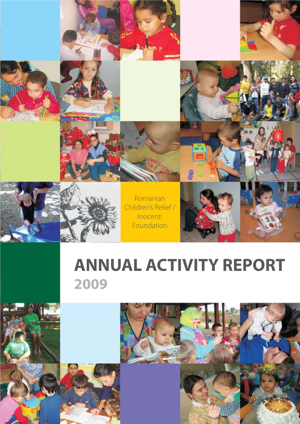 Annual Activity Report