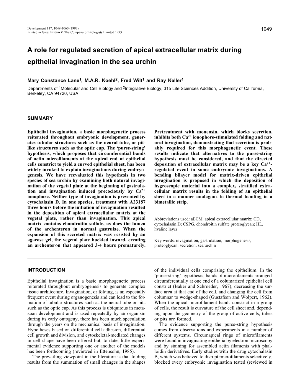 A Role for Regulated Secretion of Apical Extracellular Matrix During Epithelial Invagination in the Sea Urchin