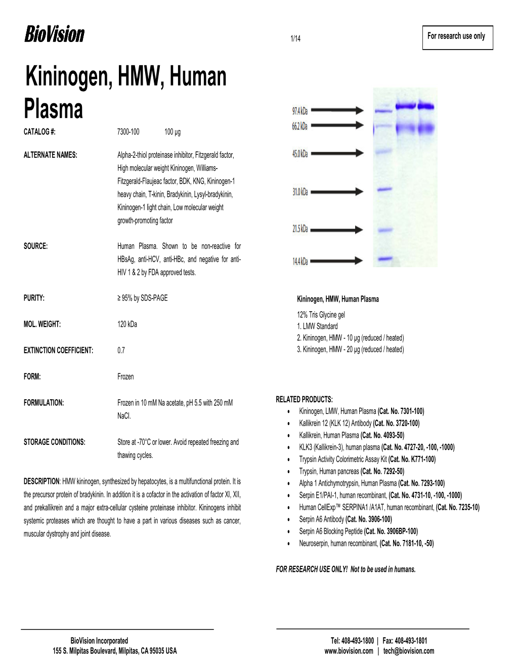 Kininogen, HMW, Human Plasma Plasma Human HMW, Kininogen, Gel Glycine 12% Tris Standard 1