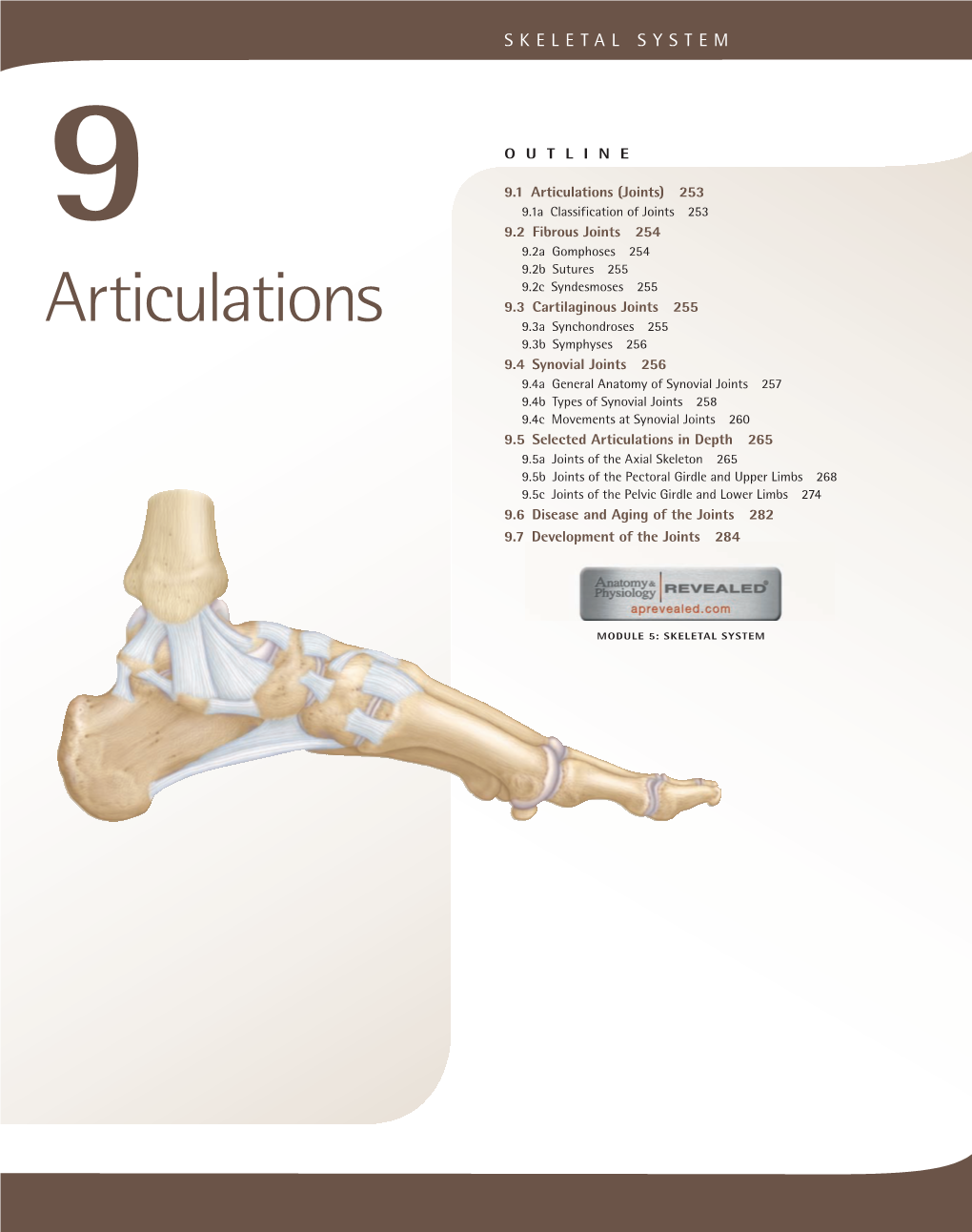 Articulations