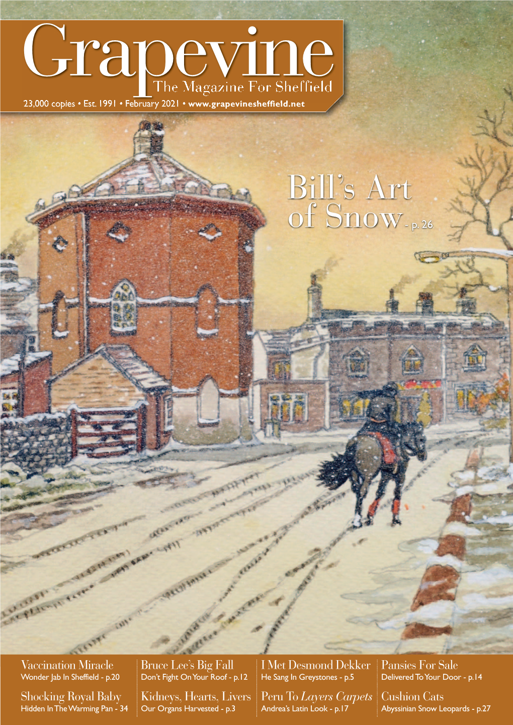 Bill's Art of Snow- P. 26