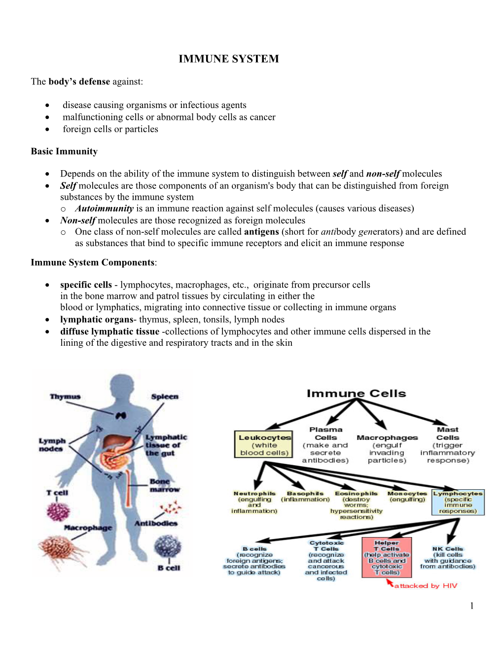 Immune System