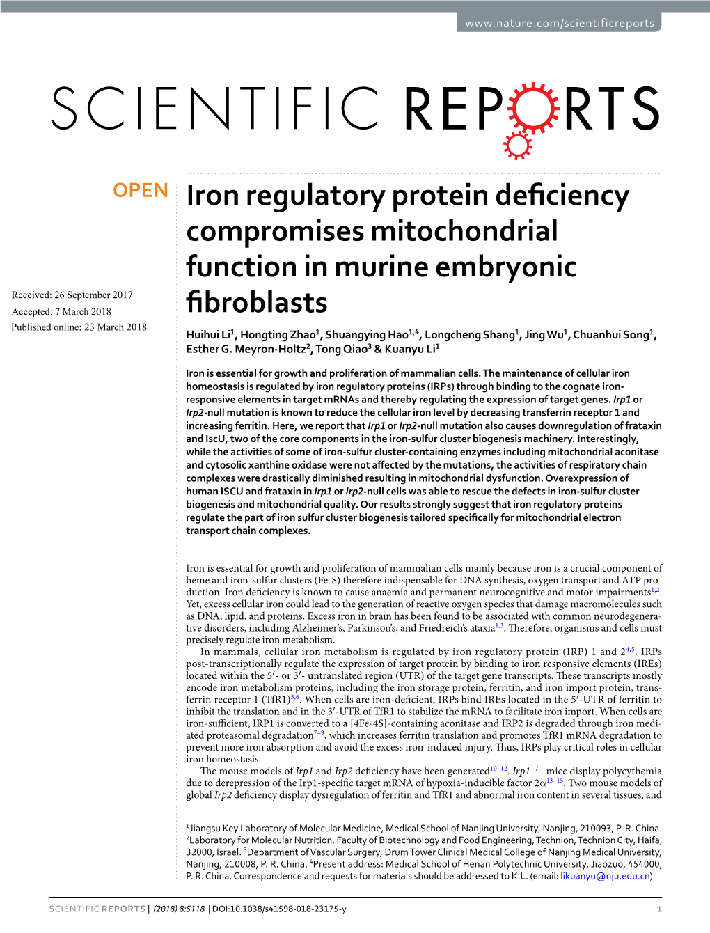 Iron Regulatory Protein Deficiency Compromises Mitochondrial Function in Murine Embryonic Fibroblasts