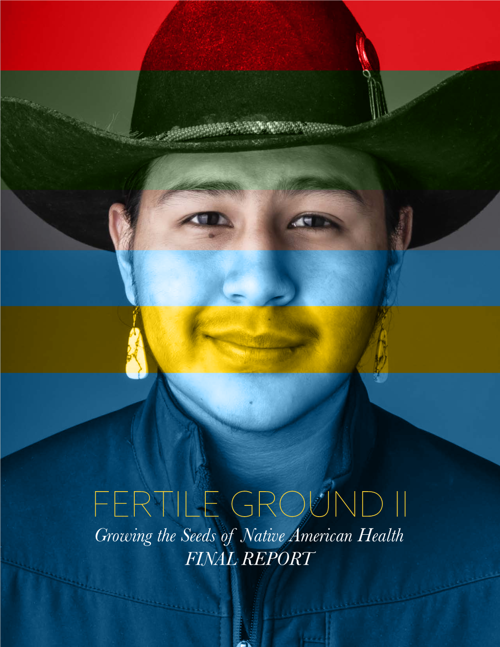 Download the Fertile Ground II Report