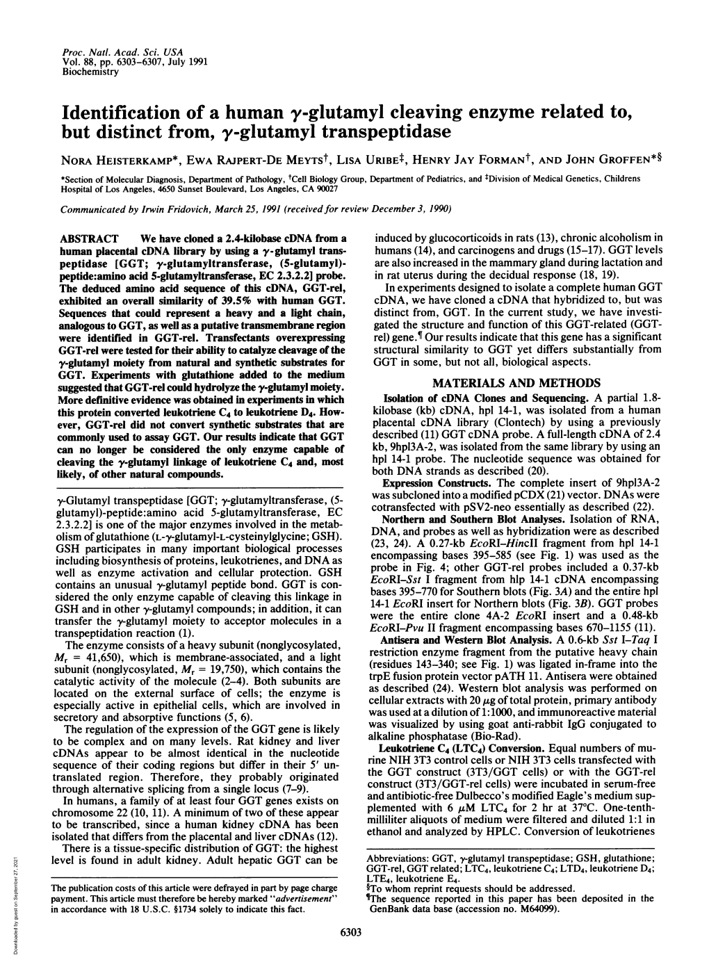 Identification of a Human Y-Glutamyl Cleaving Enzyme Related