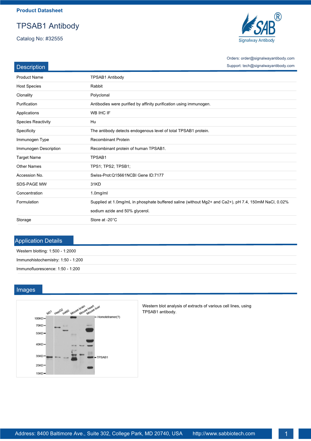 TPSAB1 Antibody