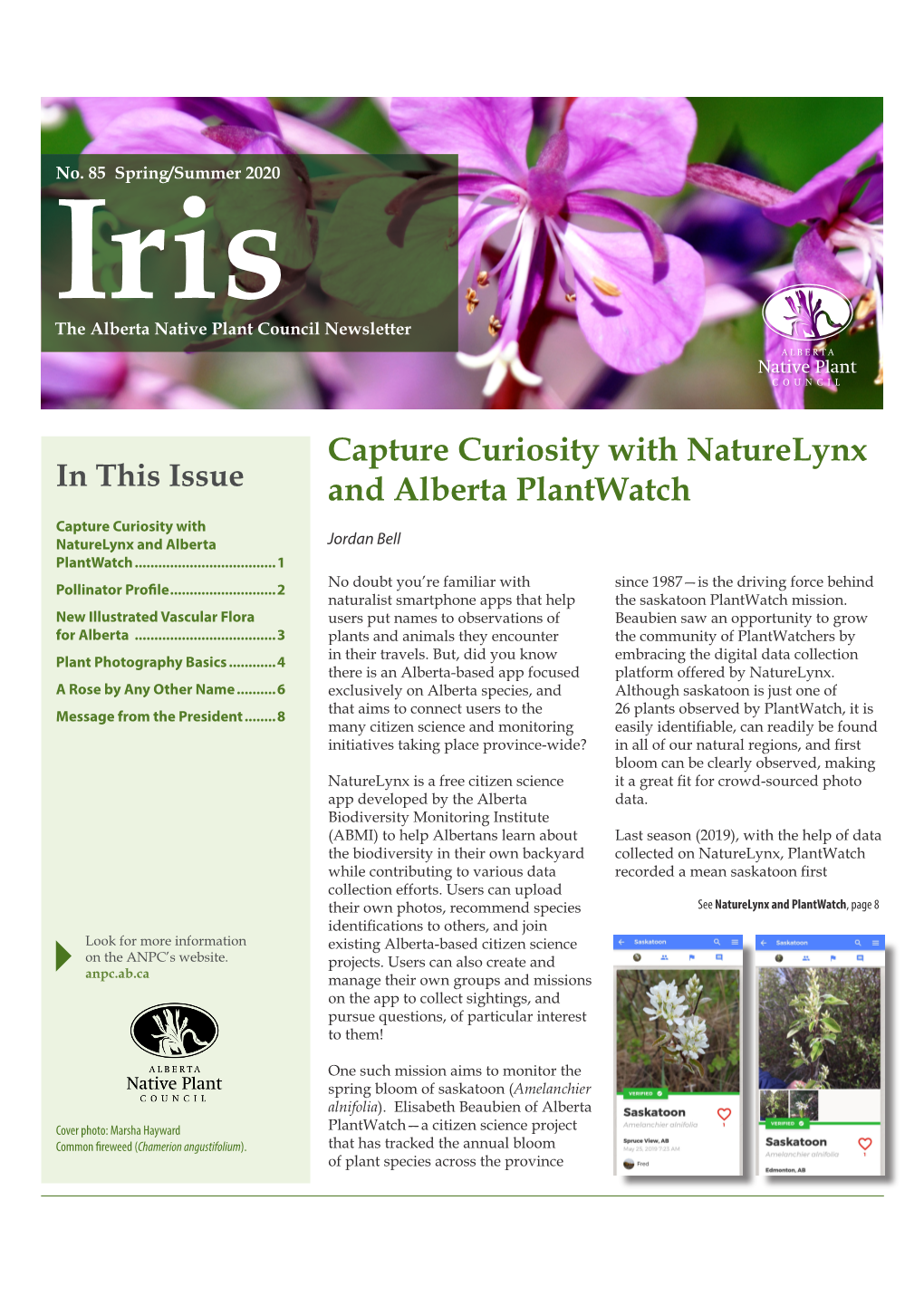 Spring/Summer 2020 Iris the Alberta Native Plant Council Newsletter