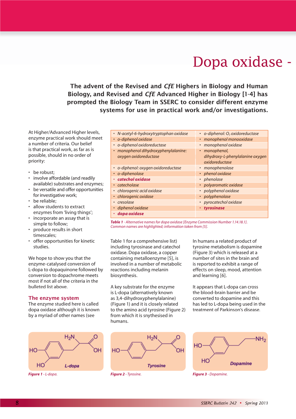 Dopa Oxidase, a Perfect Enzyme?