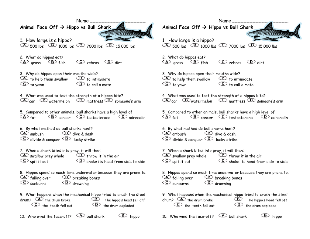 Animal Face Off À Hippo Vs Bull Shark