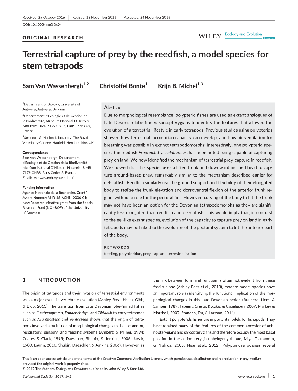 Terrestrial Capture of Prey by the Reedfish, a Model Species for Stem Tetrapods