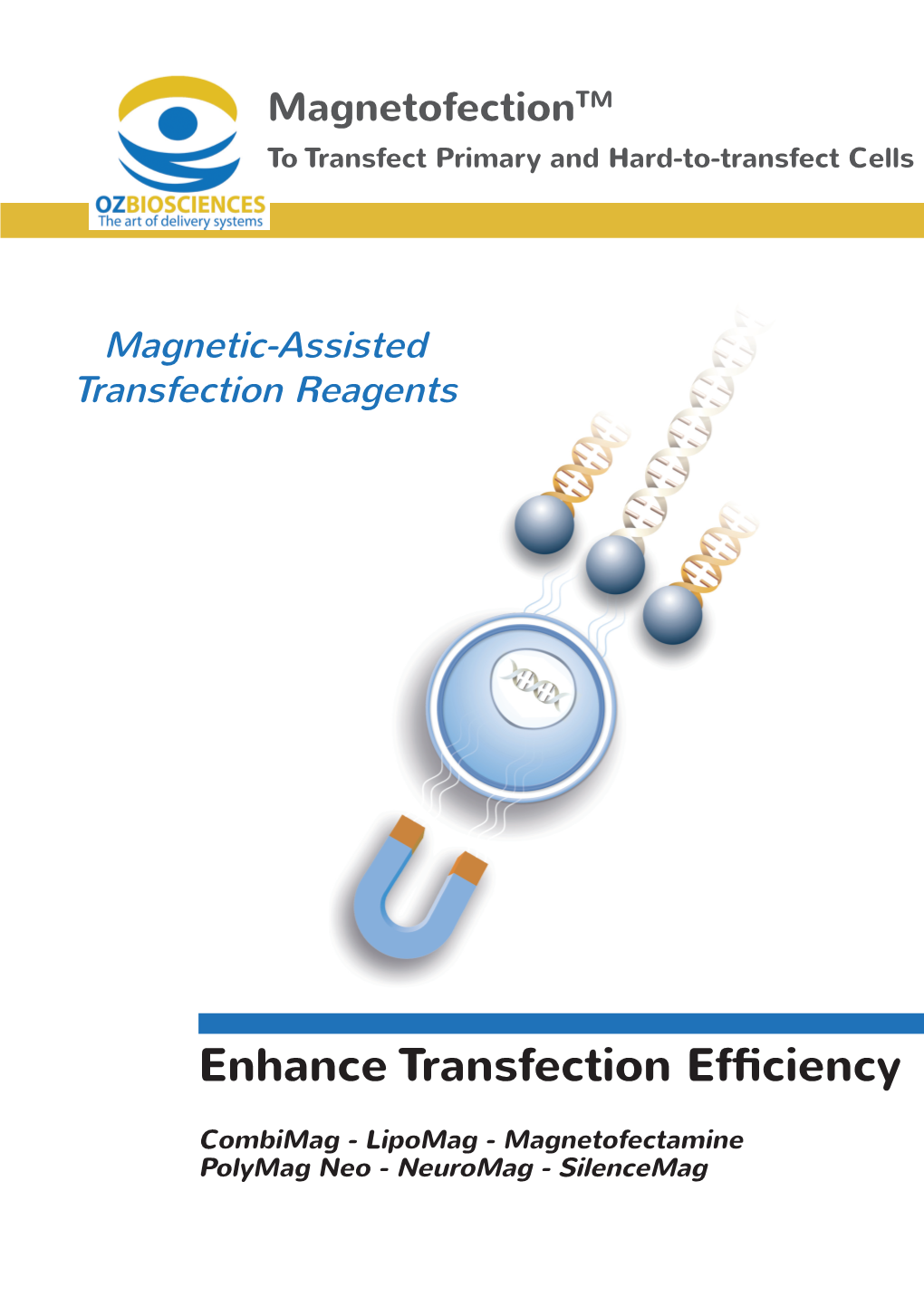 Enhance Transfection Efficiency