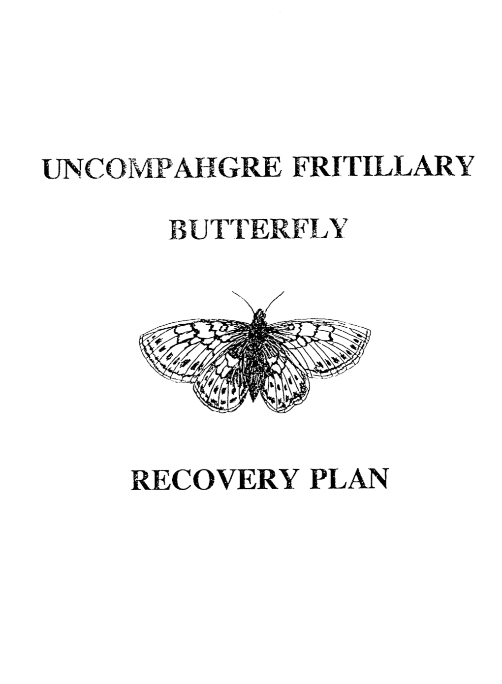 Recovery Plan Uncompahgre Fritillary Butterfly Recovery Plan