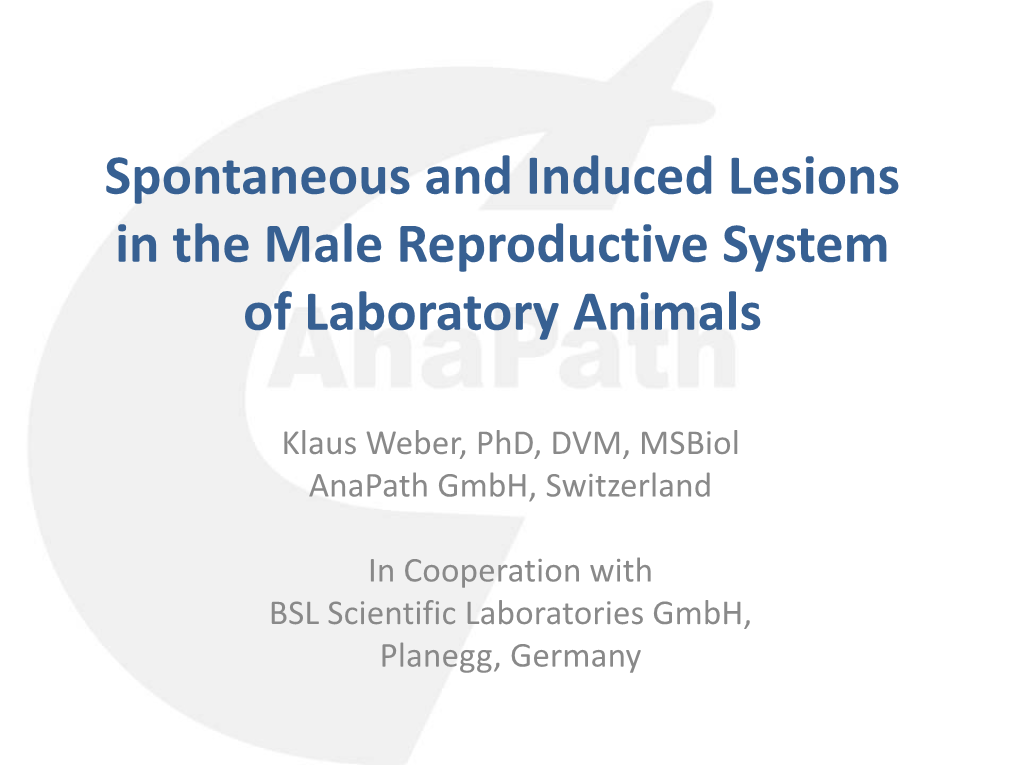 Spontaneous and Induced Lesions in the Male Reproductive System of Laboratory Animals