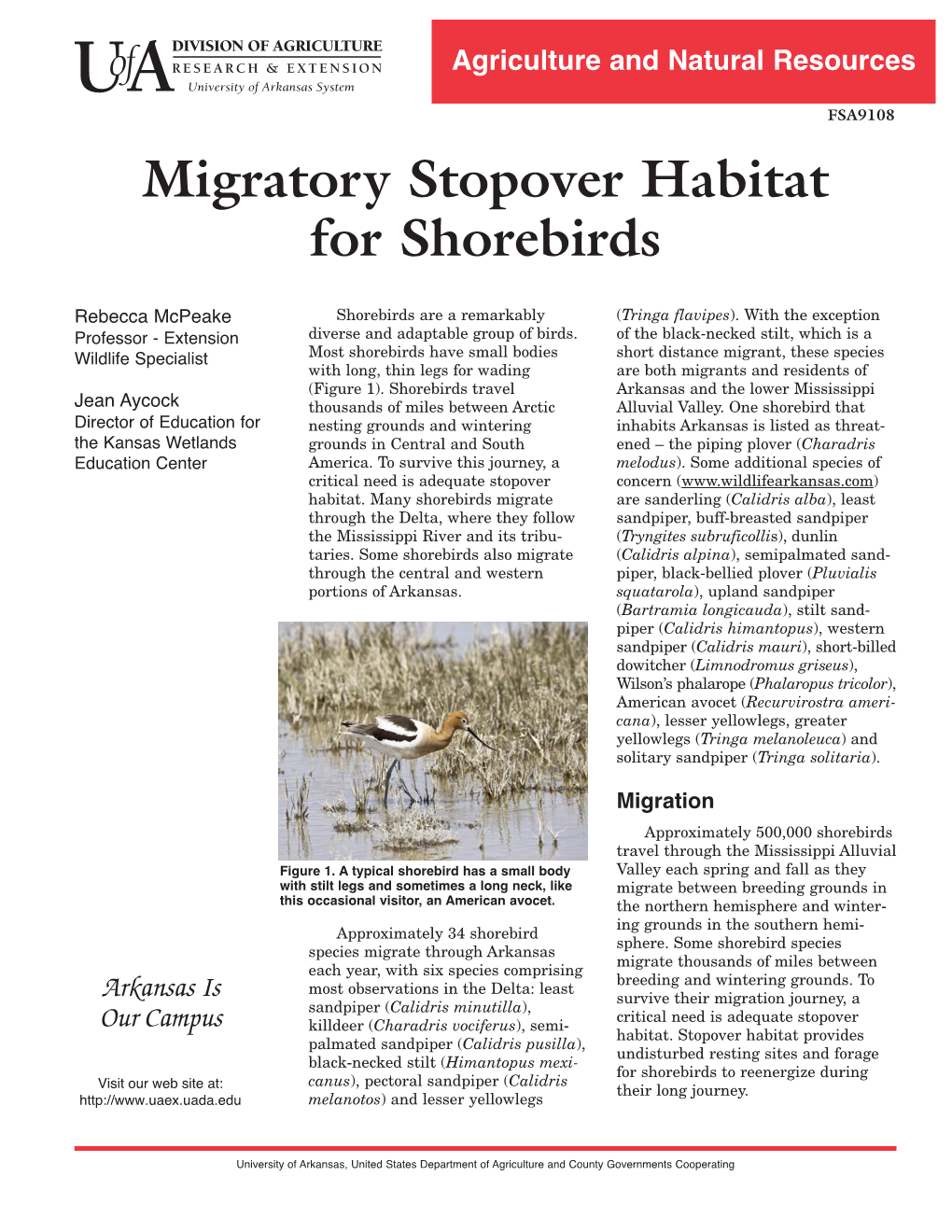 Migratory Stopover Habitat for Shorebirds