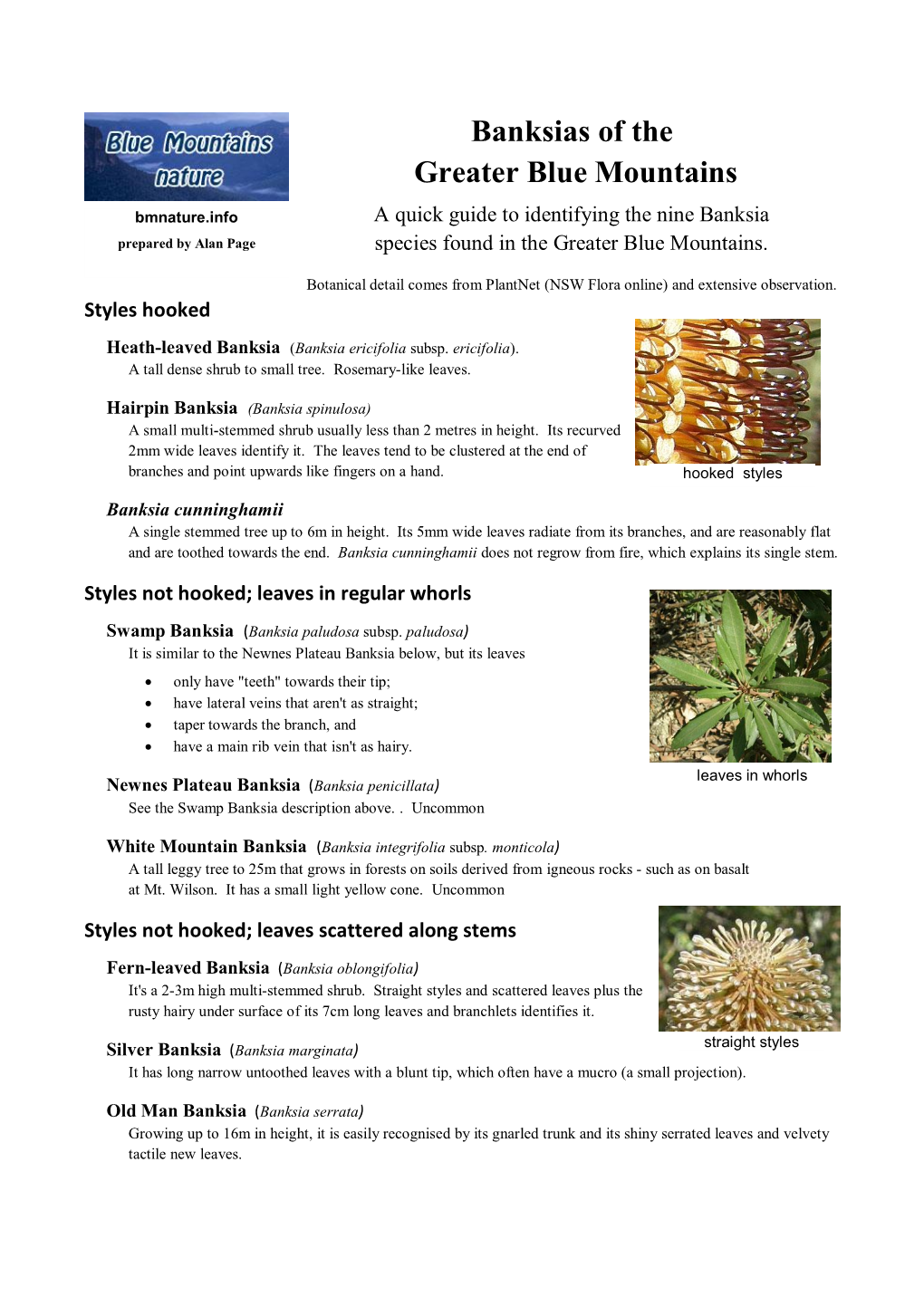 Banksias of the Greater Blue Mountains Field Guide