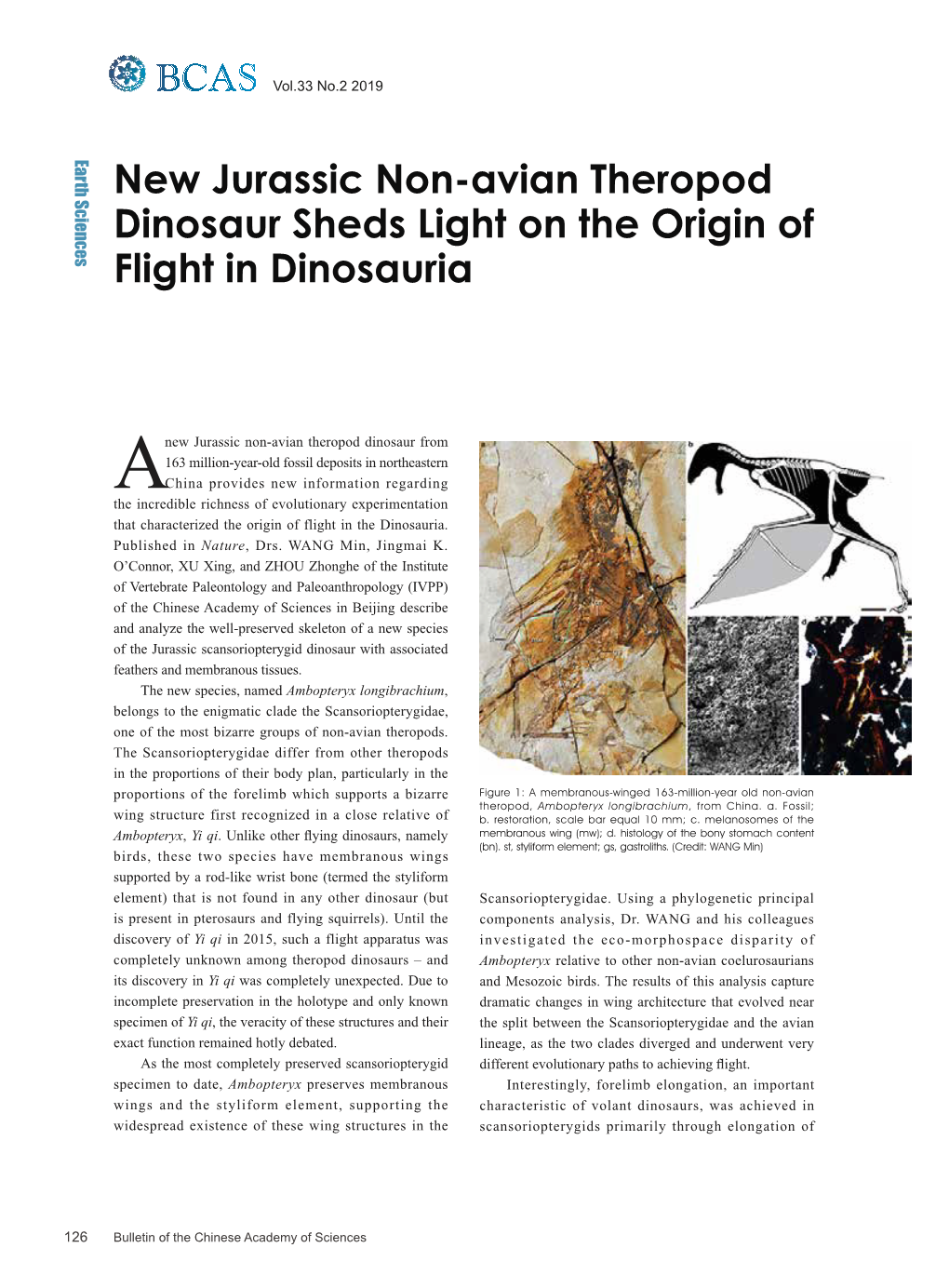 126 New Jurassic Non-Avian Theropod Dinosaur Sheds Light on Origin of Flight in Dinosauria