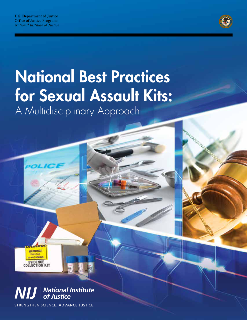 National Best Practices for Sexual Assault Kits: a Multidisciplinary Approach