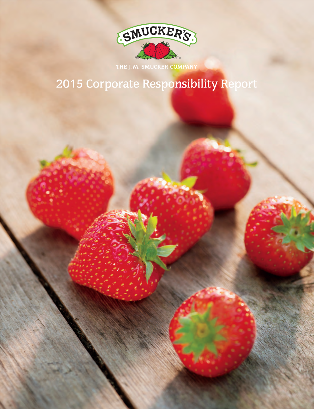 2015 Corporate Responsibility Report