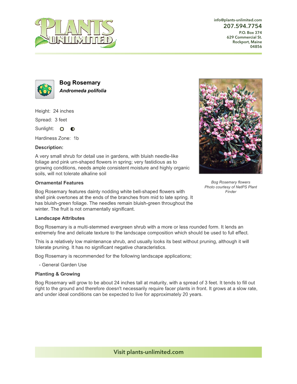Plants Unlimited Bog Rosemary