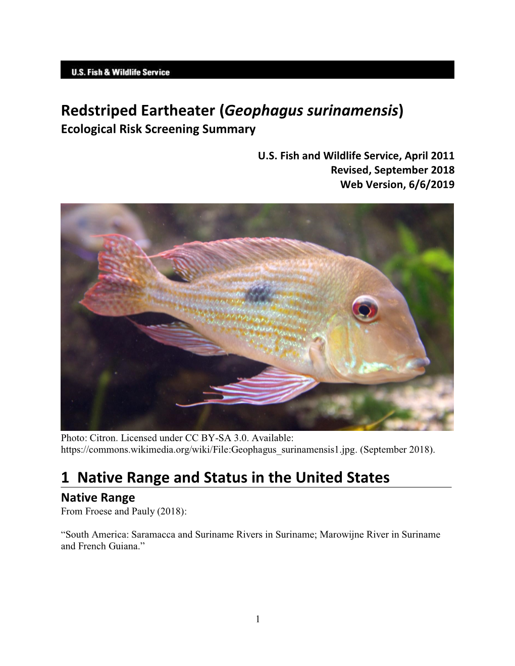 Geophagus Surinamensis Ecological Risk Screening Summary