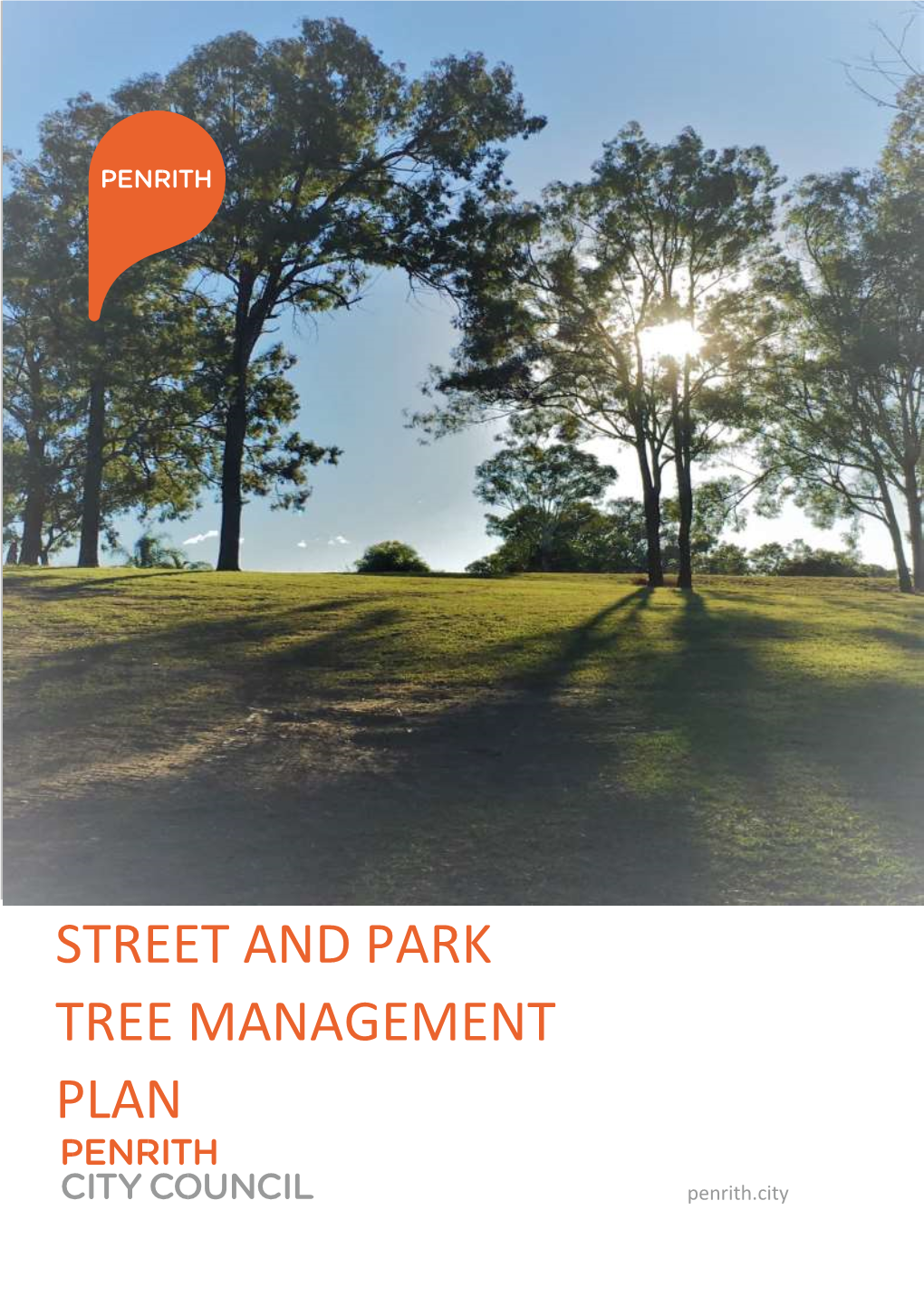 Street and Park Tree Management Plan | 2