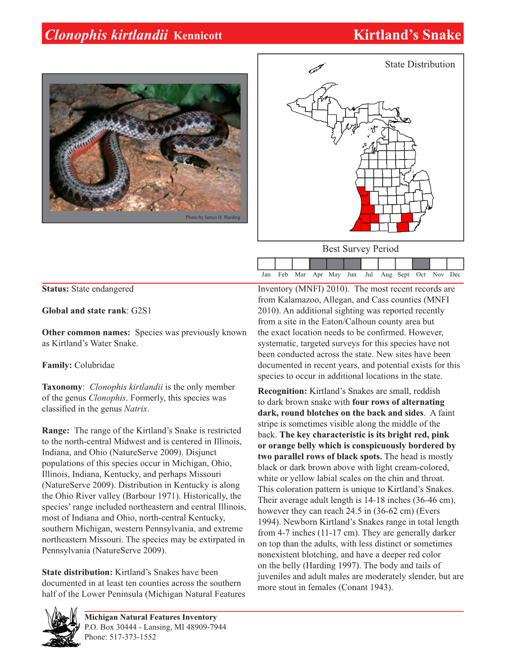 Clonophis Kirtlandii Kennicott Kirtland’Skirtland’S Snake, Snake Page 