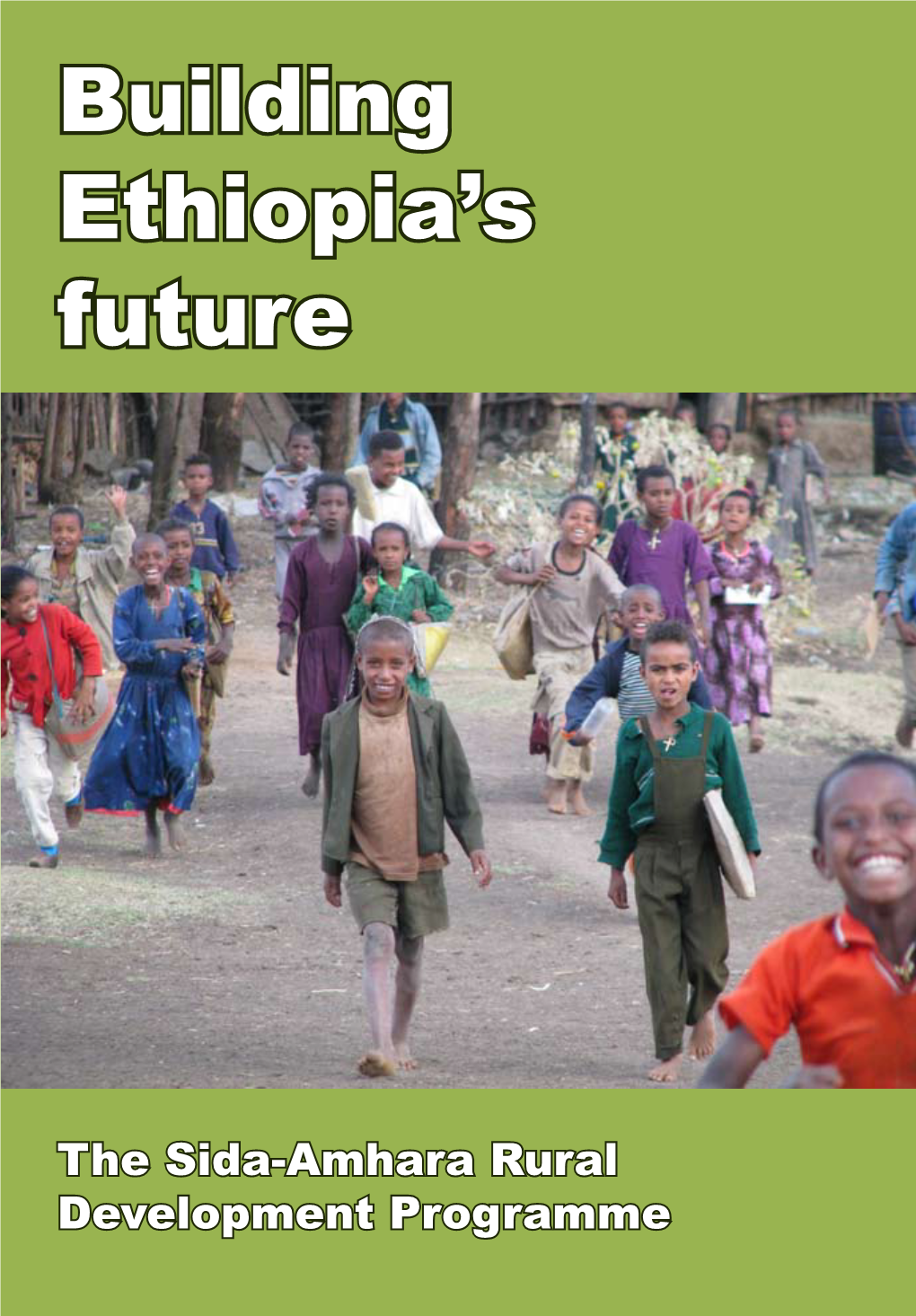 Building Ethiopia's Future