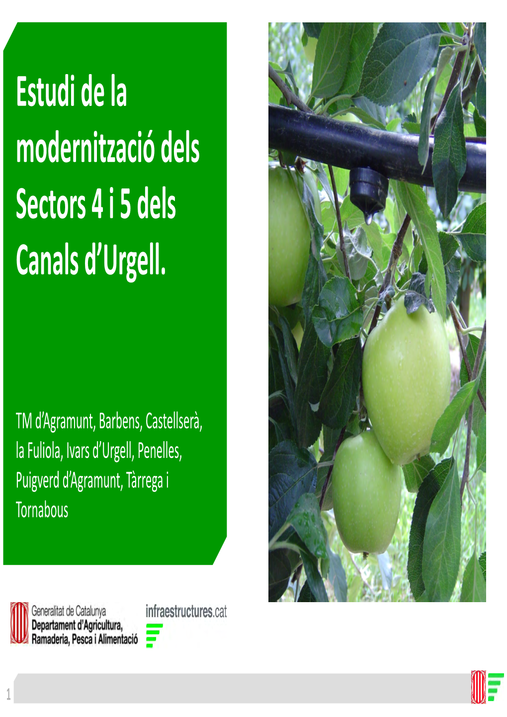 Estudi De La Modernització Dels Sectors 4 I 5 Dels Canals D'urgell