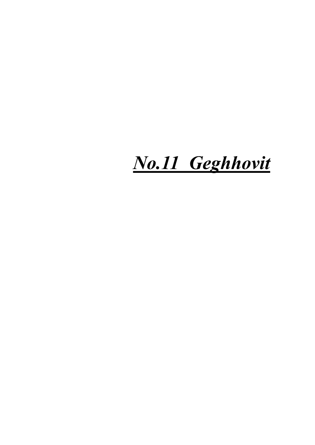 No.11 Geghhovit