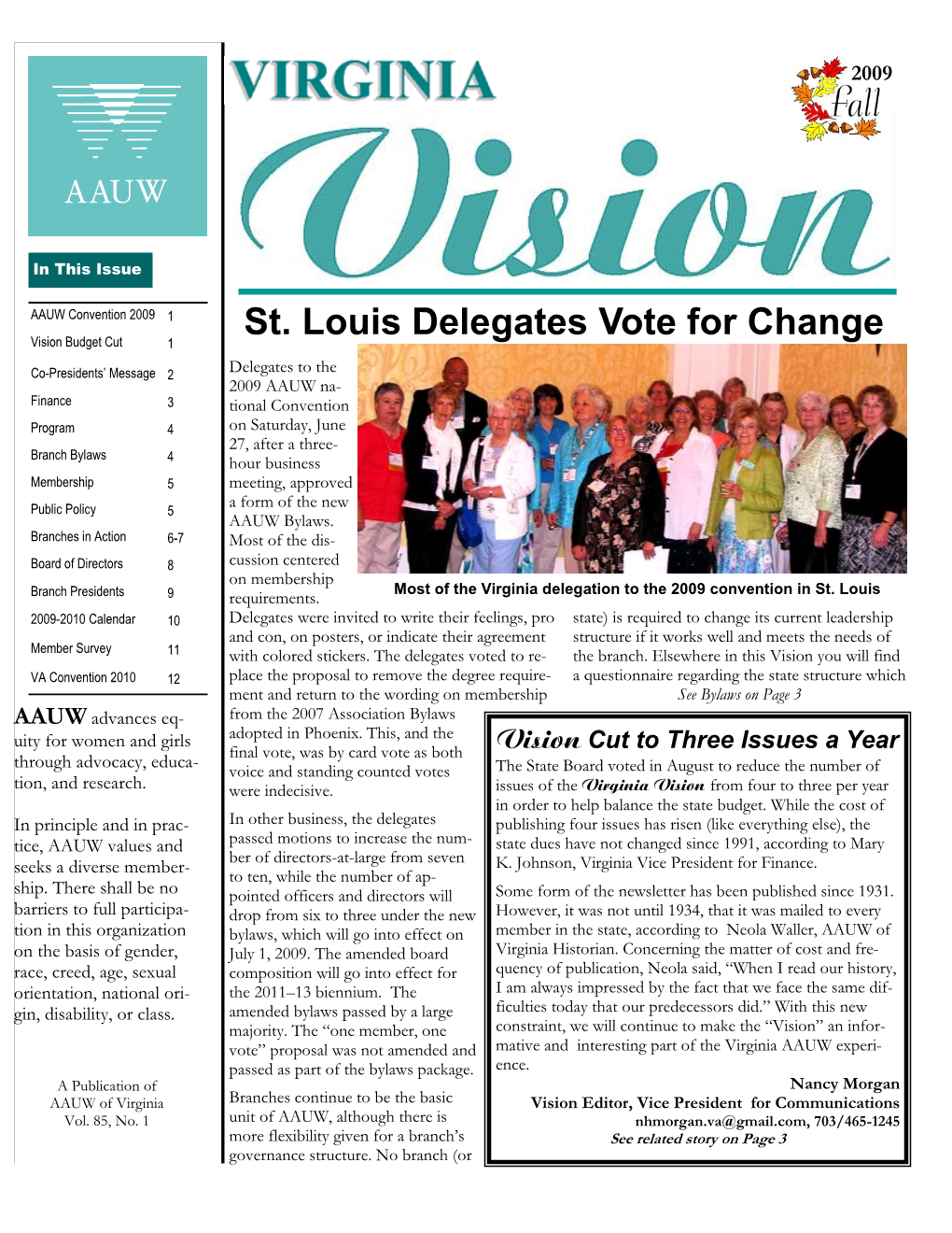 St. Louis Delegates Vote for Change Vision Budget Cut 1