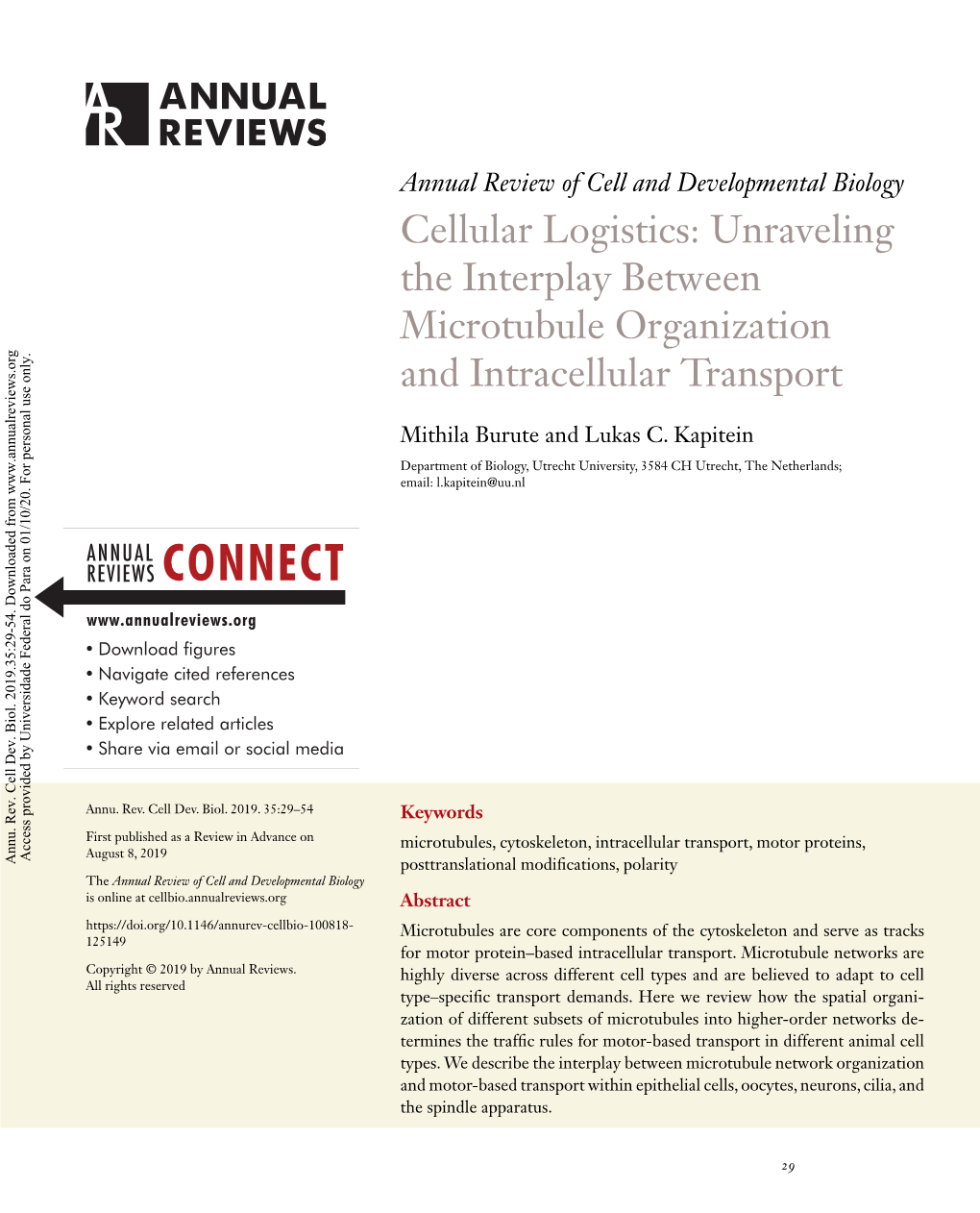 Cellular Logistics: Unraveling the Interplay Between Microtubule Organization and Intracellular Transport