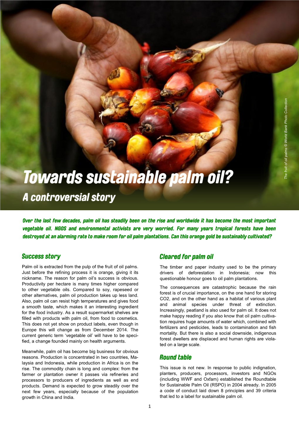 Palm Oil Is Extracted from the Pulp of the Fruit of Oil Palms. Just Before the Refining Process It Is Orange, Giving It Its Nick
