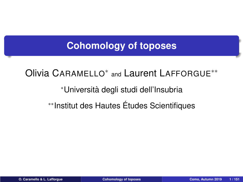 Cohomology of Toposes