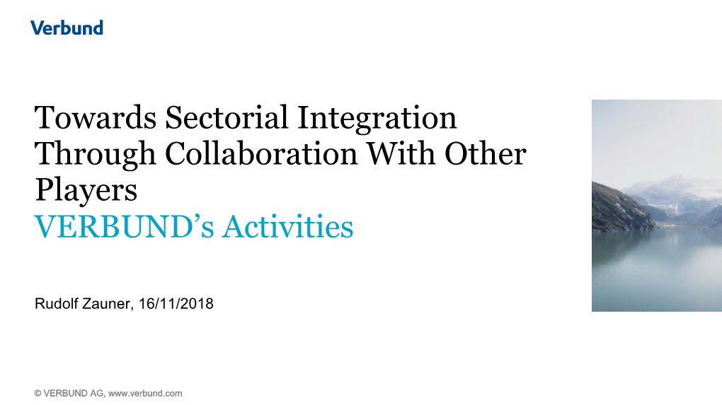 Towards Sectorial Integration Through Collaboration with Other Players VERBUND’S Activities