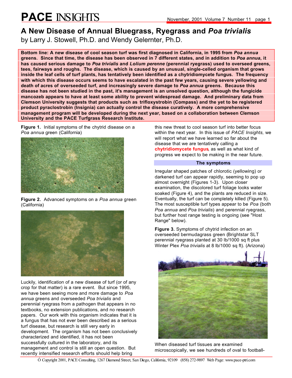 PACE INSIGHTS November, 2001 Volume 7 Number 11 Page 1 a New Disease of Annual Bluegrass, Ryegrass and Poa Trivialis by Larry J