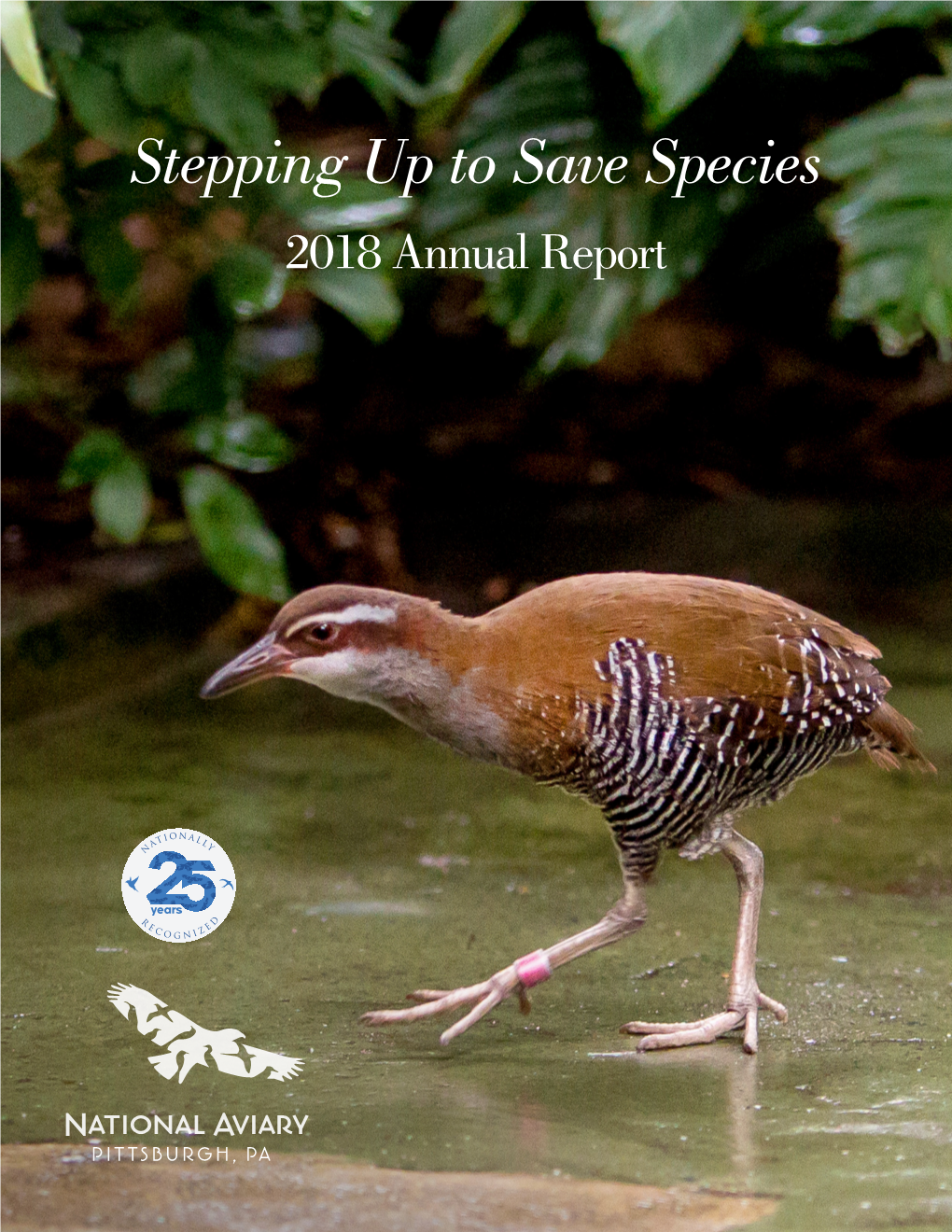 Stepping up to Save Species 2018 Annual Report