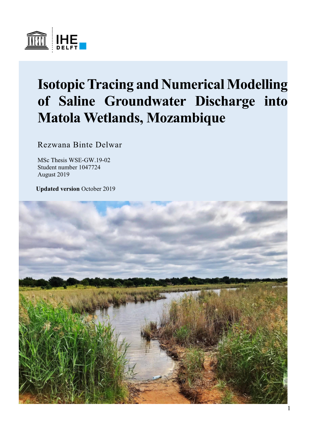 Isotopic Tracing and Numerical Modelling of Saline Groundwater Discharge Into Matola Wetlands, Mozambique